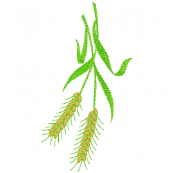 Flowers And Tree Embroidery Design 11